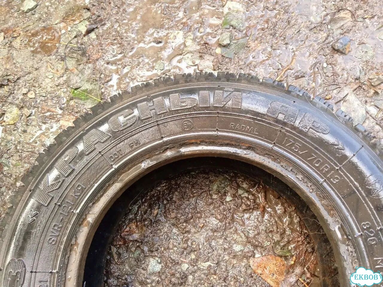 Красный Яр КЯ-121 175/70 R13C фото 8