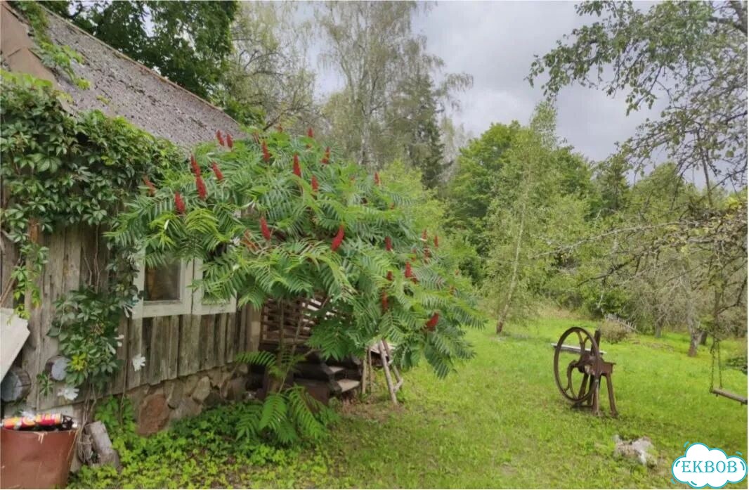 Дом 90 м² на участке 10 сот. фото 7