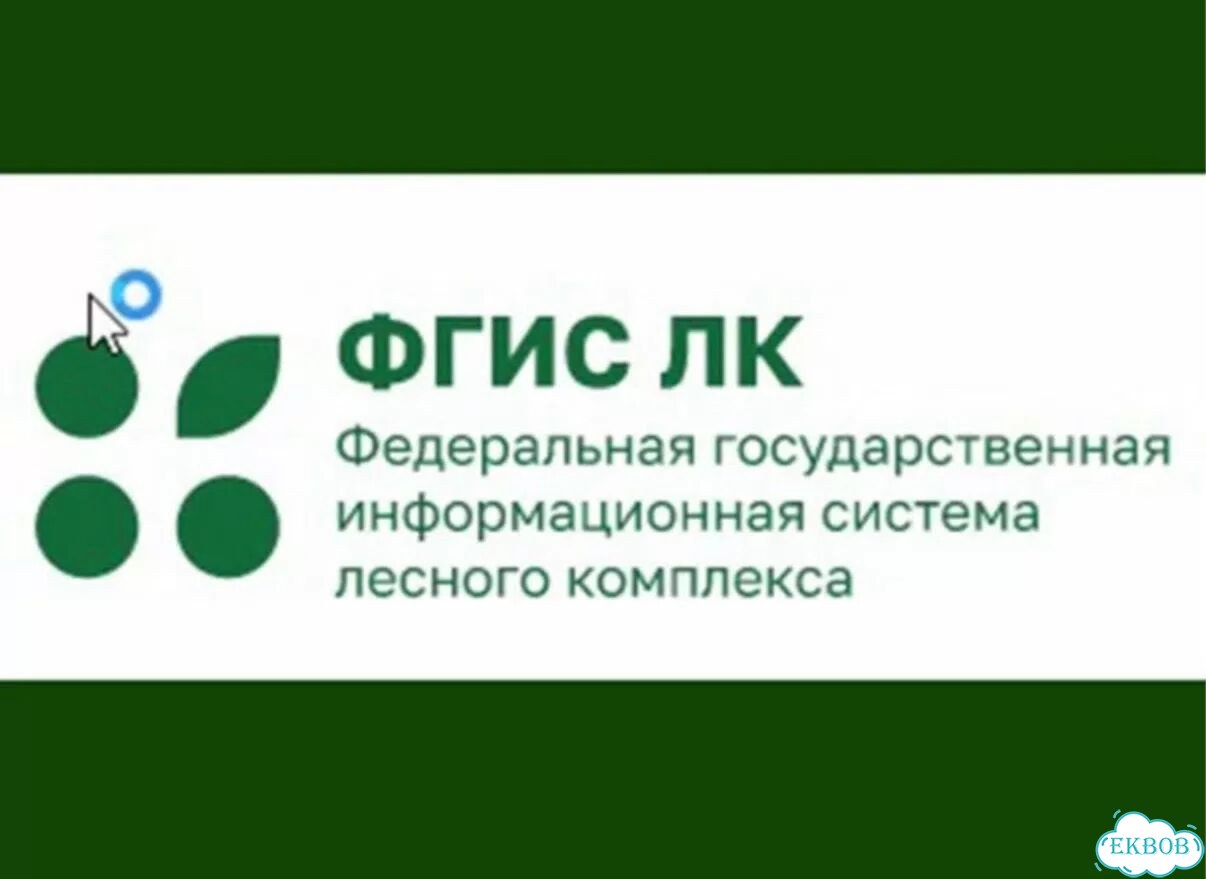 Фгис лк фото 1