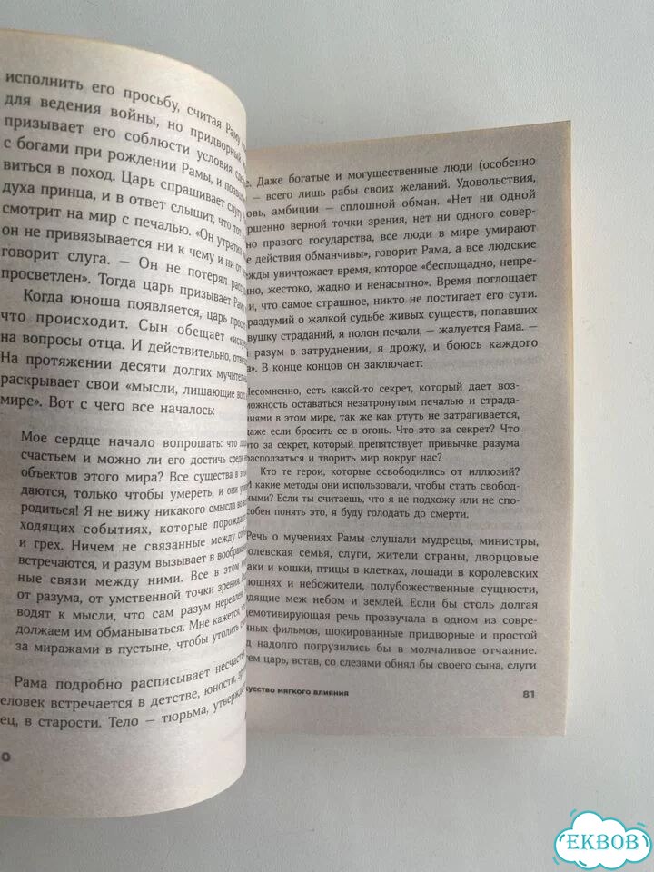 Дэвис. Искусство мягкого влияния фото 7