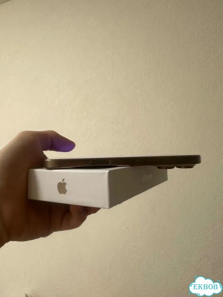 iPhone 16 Pro, 256 ГБ, SIM + eSIM фото 2