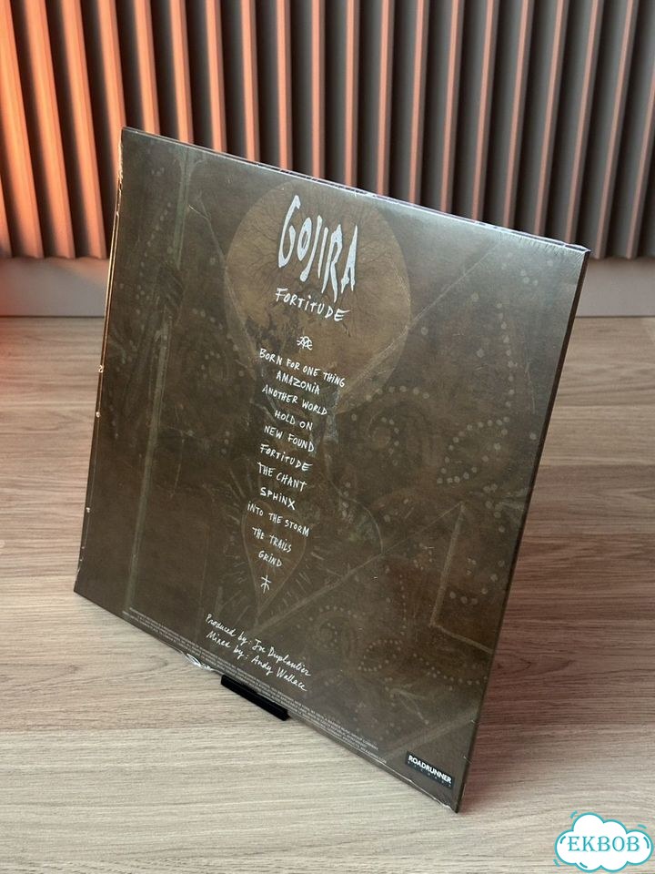 Винил Gojira - Fortitude (Brown & Grey LP) фото 3