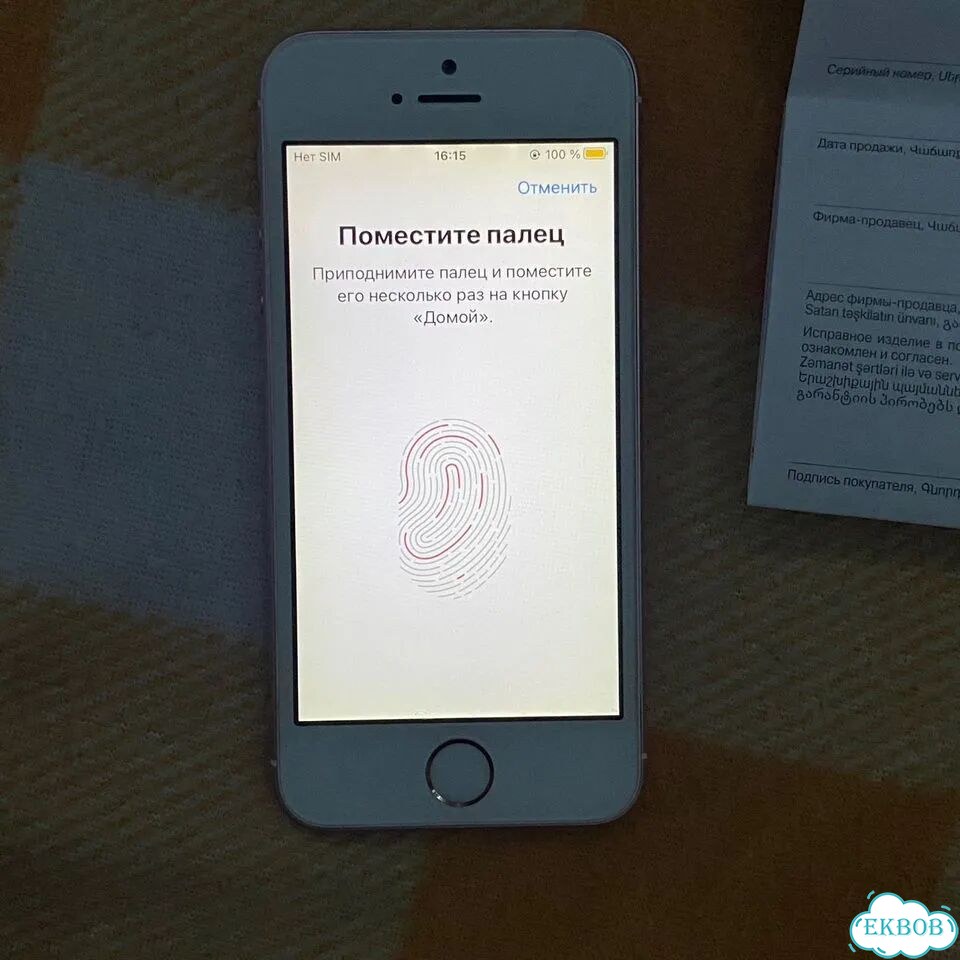iPhone SE, 32 ГБ, 1 SIM фото 5