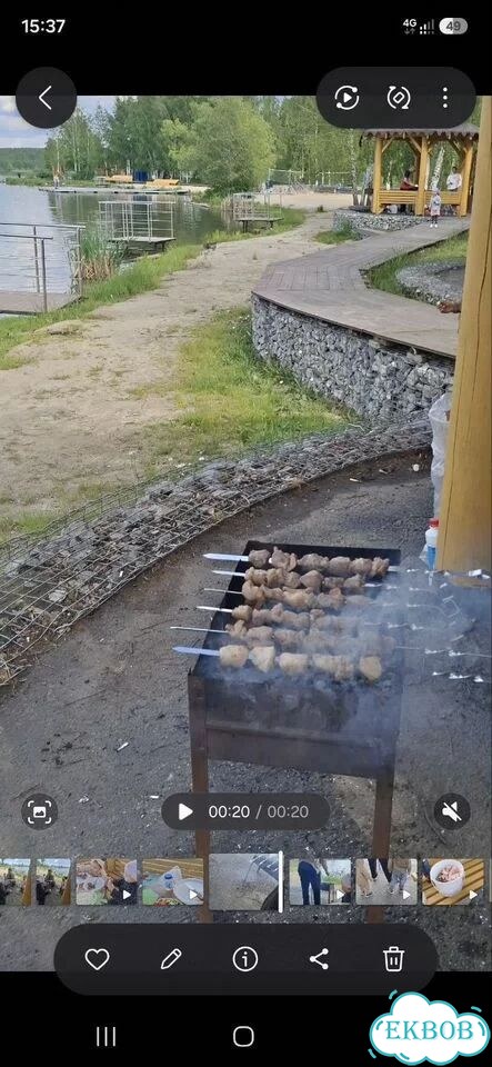 Продам мясо говядина фото 1