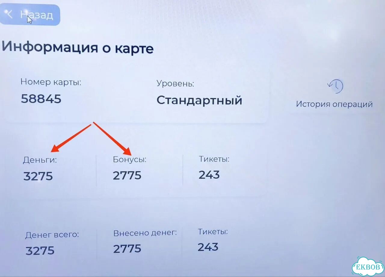 Карта мегалэнд в парк развлечений Веер Молл Екб фото 3