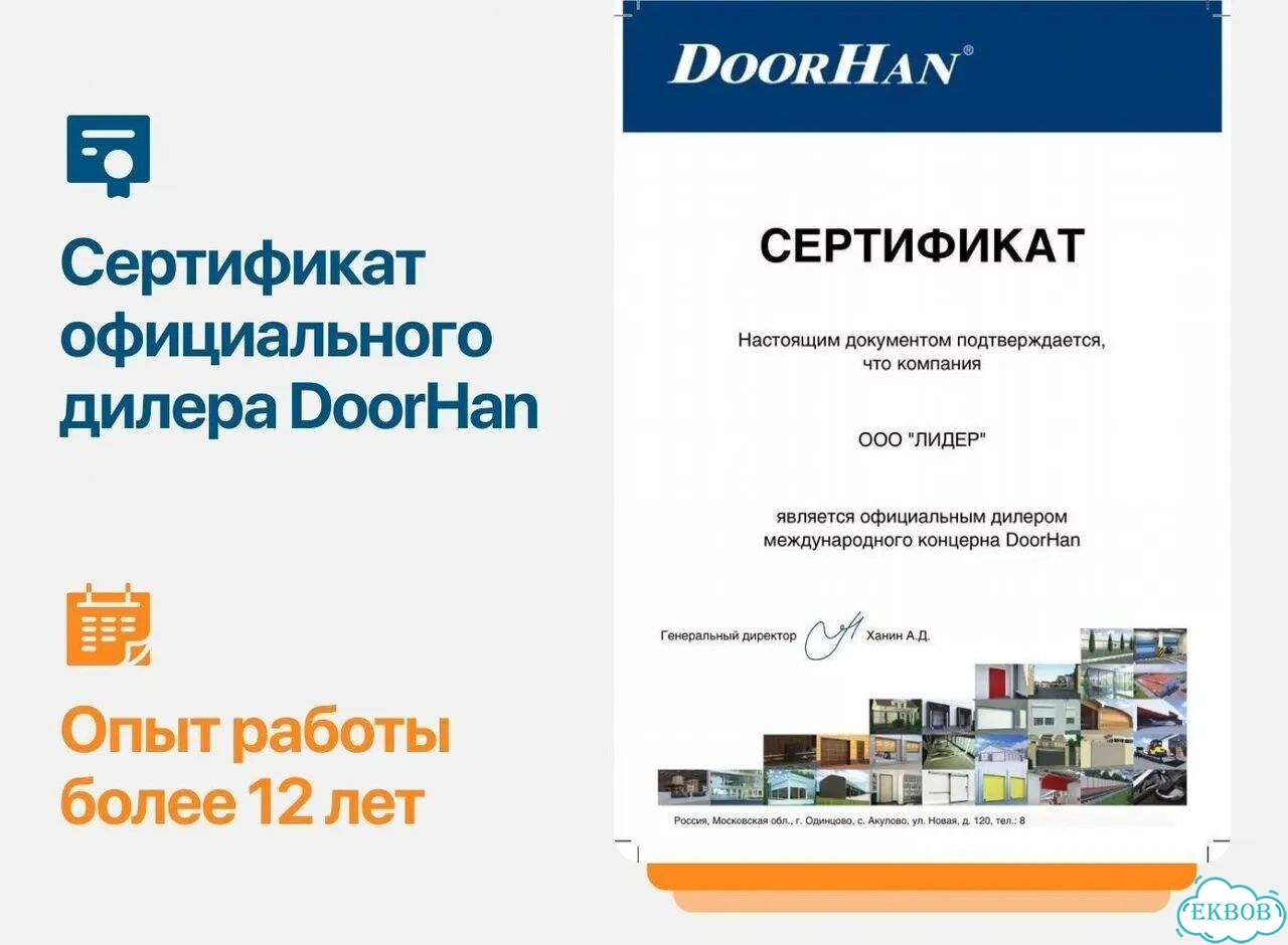Маранта триколор фото 10