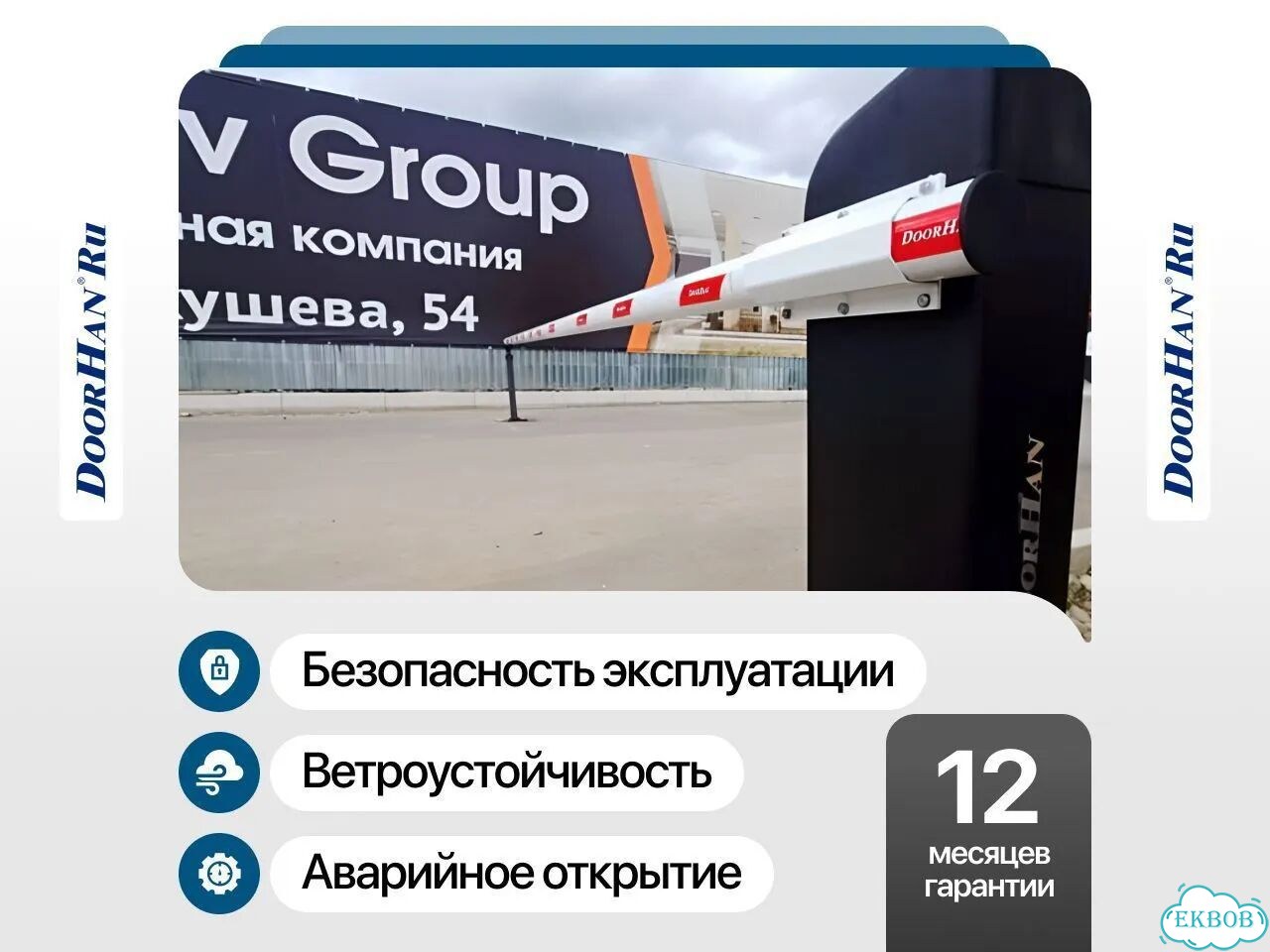 Маранта триколор фото 2