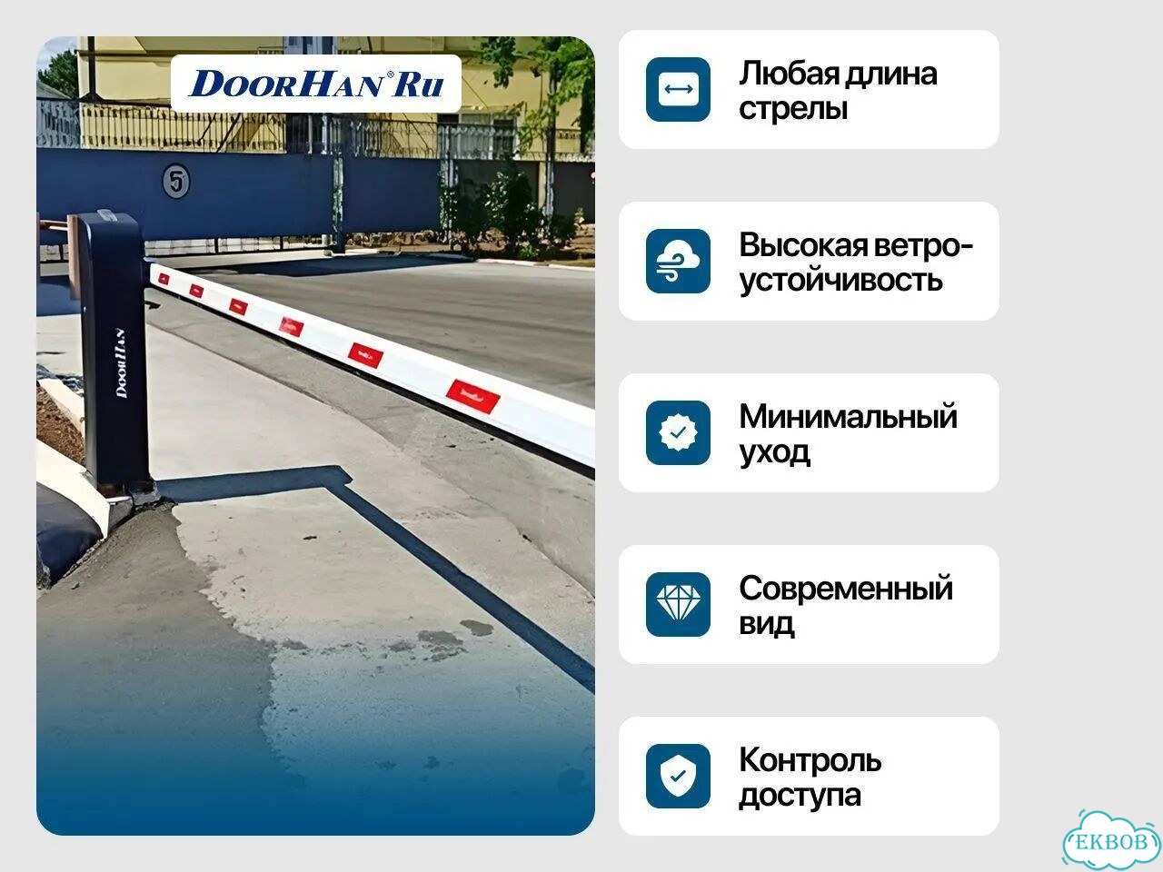 Маранта триколор фото 5