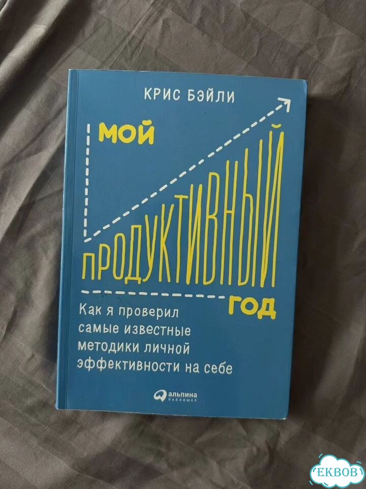 Книга мой продуктивный год фото 1
