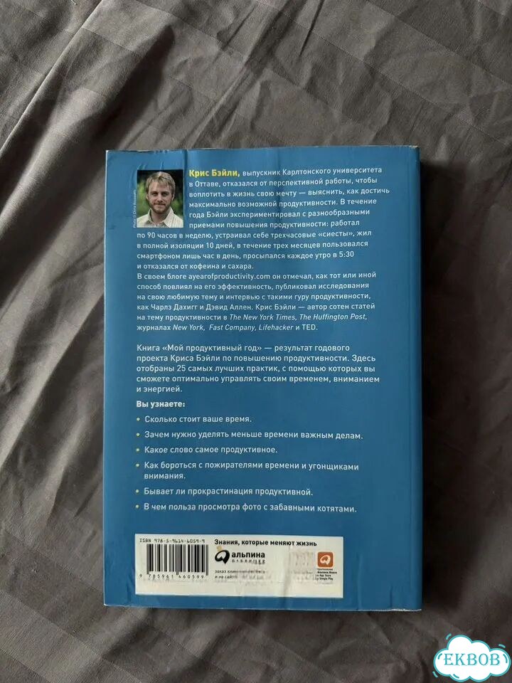 Книга мой продуктивный год фото 2