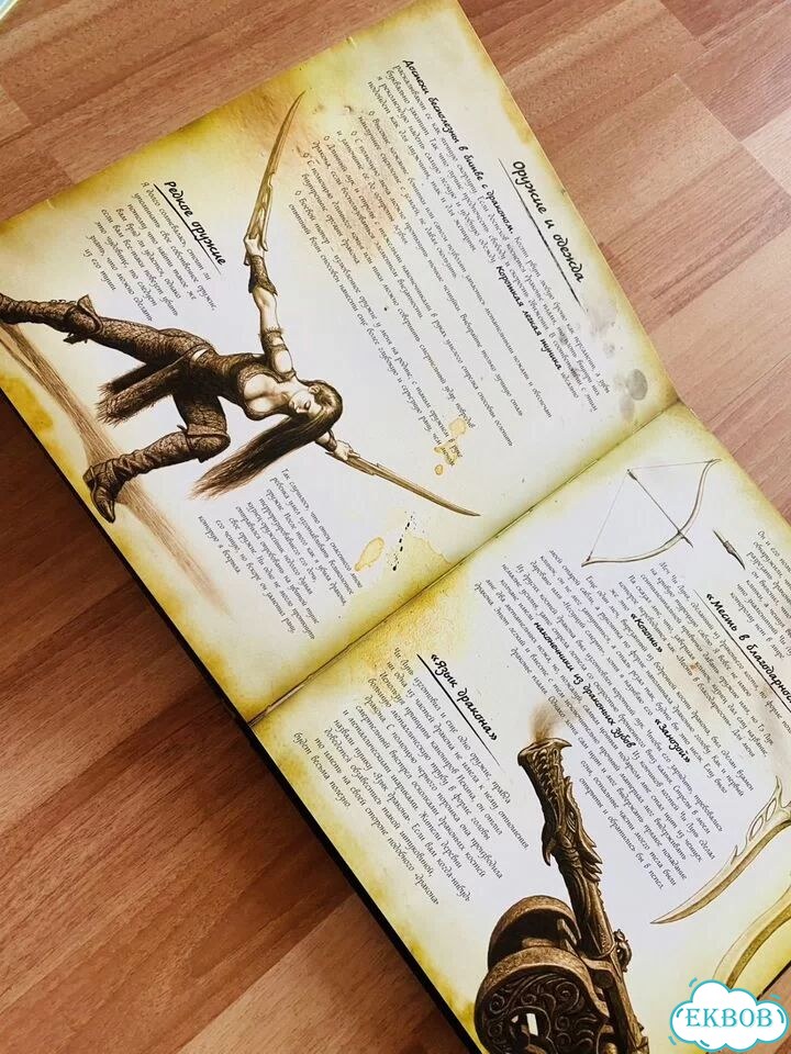 Книга охотника на драконов фото 3