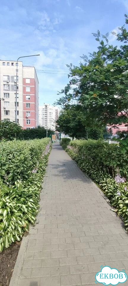 Квартира-студия, 30,8 м², 4/9 эт. фото 27
