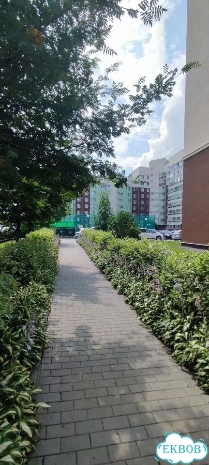 Квартира-студия, 30,8 м², 4/9 эт. фото 28