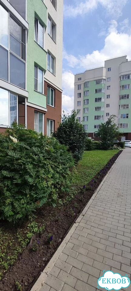 Квартира-студия, 30,8 м², 4/9 эт. фото 31