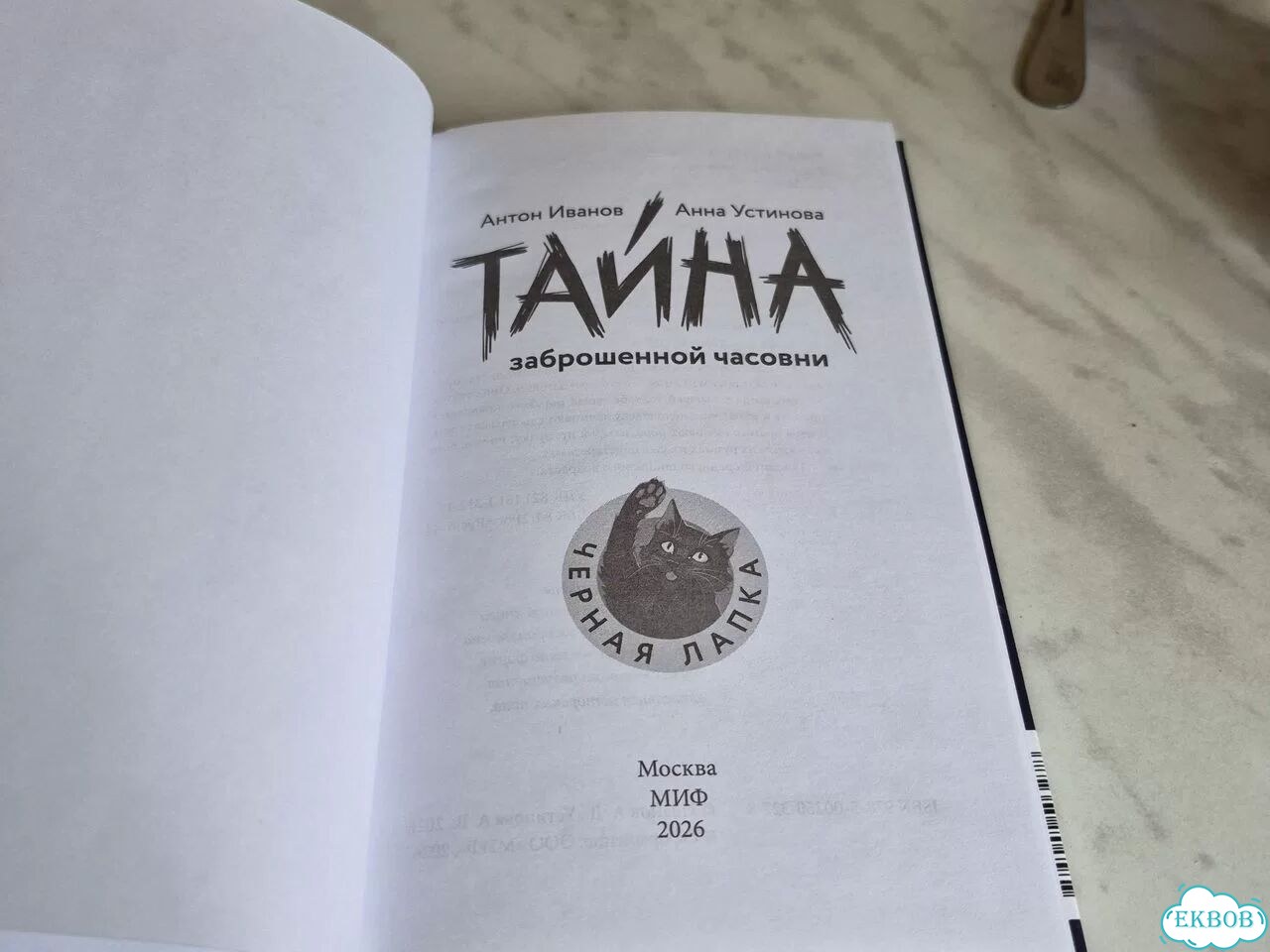 Антон Иванов Анна Устинова Тай- на заброшенной ч фото 3
