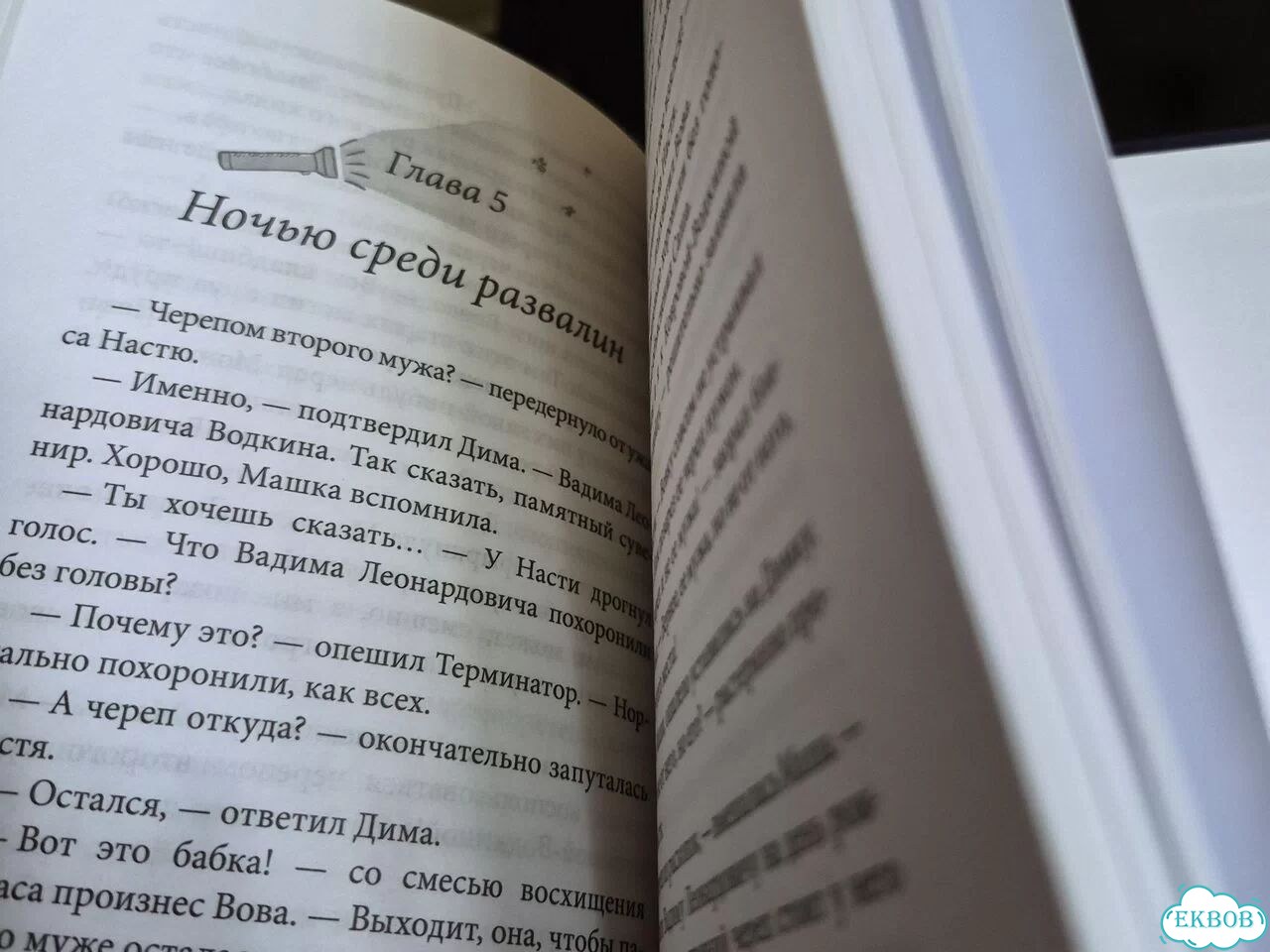 Антон Иванов Анна Устинова Тай- на заброшенной ч фото 5
