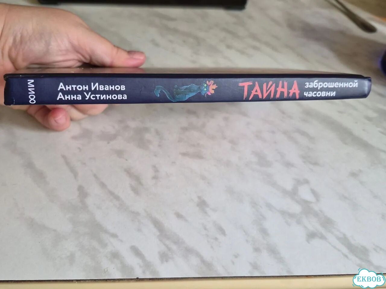 Антон Иванов Анна Устинова Тай- на заброшенной ч фото 7
