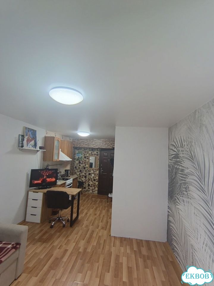 Квартира-студия, 19,6 м², 2/5 эт. фото 12