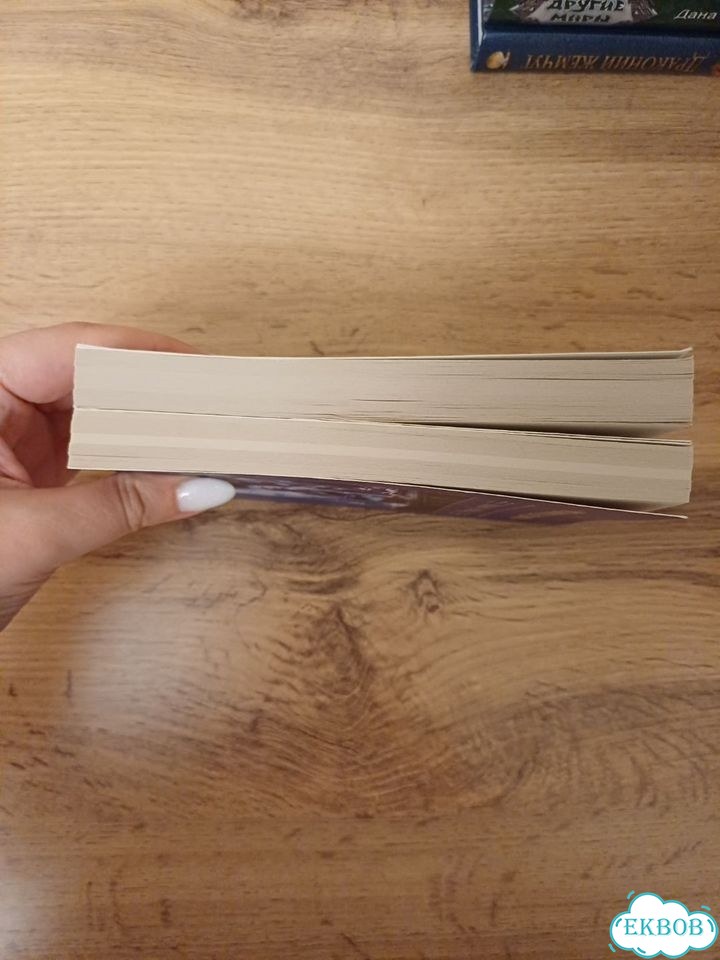 Комплект книг Марина Ефиминюк фото 4