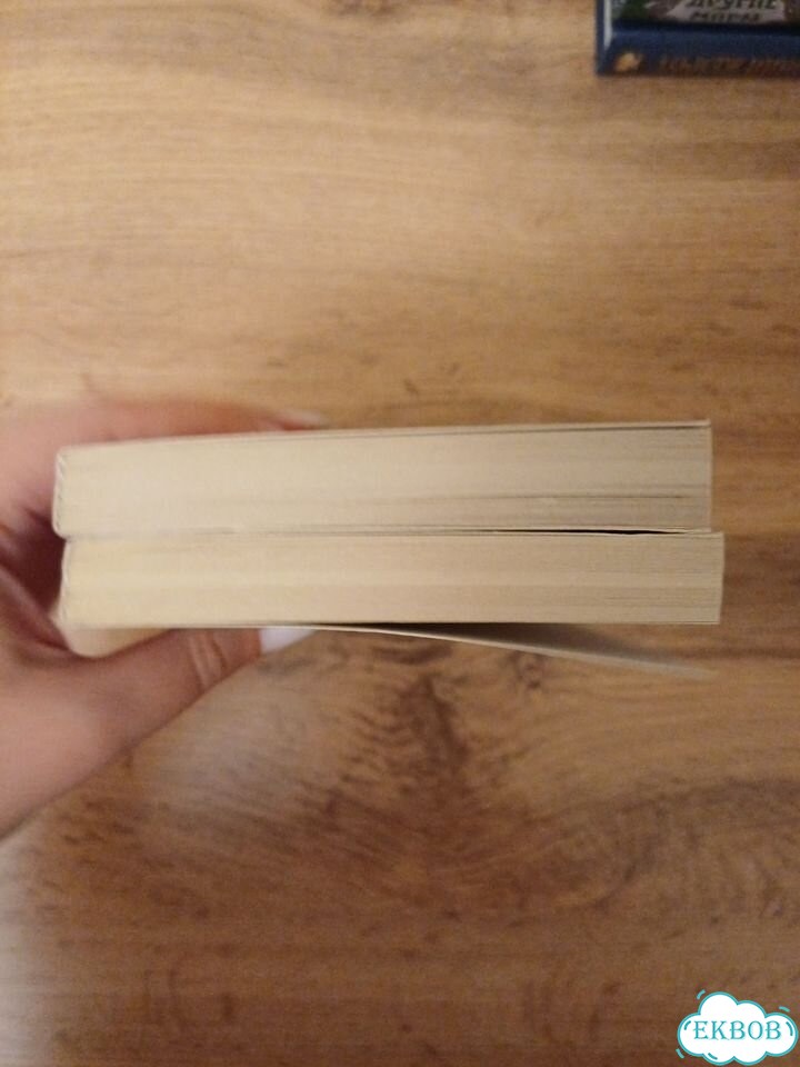 Комплект книг Марина Ефиминюк фото 5