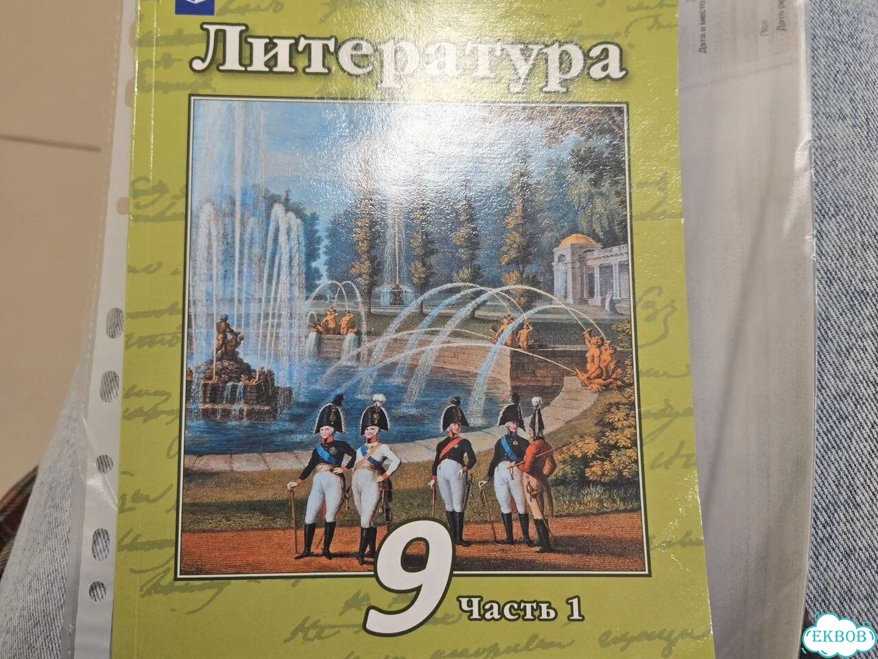 Продам учебник литературы 9 класс Просвещение фото 1