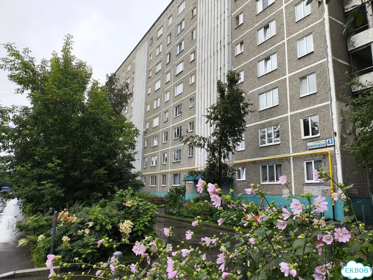 3-к. квартира, 63,9 м², 2/9 эт. фото 1