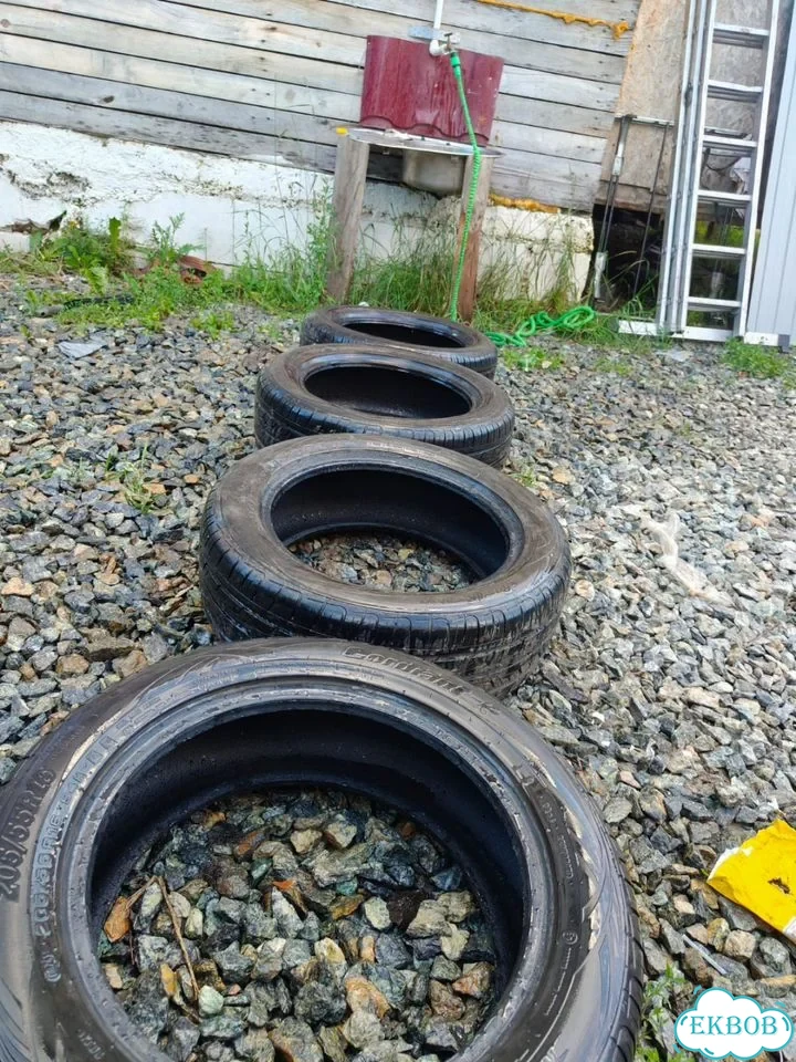 Bridgestone A001 Weather Control 195/55 R15 и 195/55 R16 19M фото 6