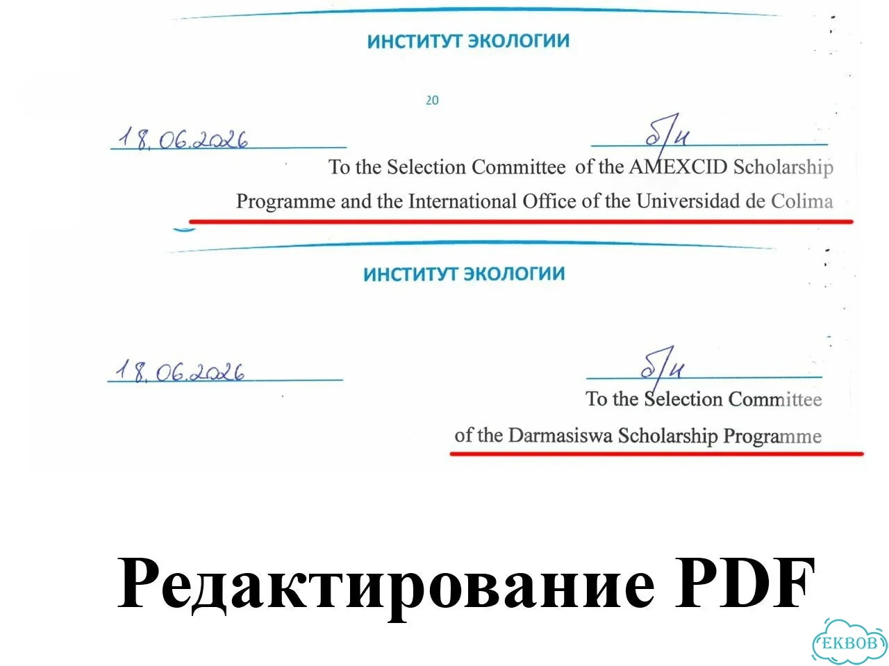 Услуги фотошопа / редактирование пдф PDF / фотошоп фото 6