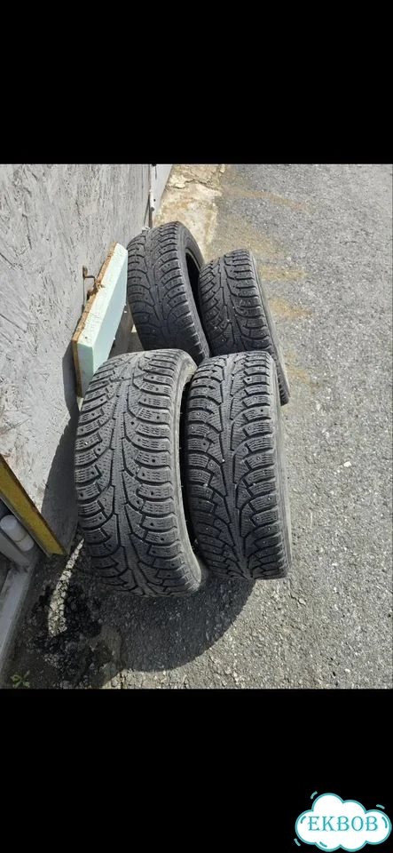 Nordman 5 205/55 R16 фото 2