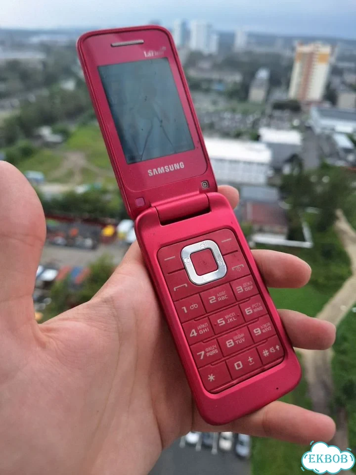 Samsung GT-C3520, 1 SIM фото 1
