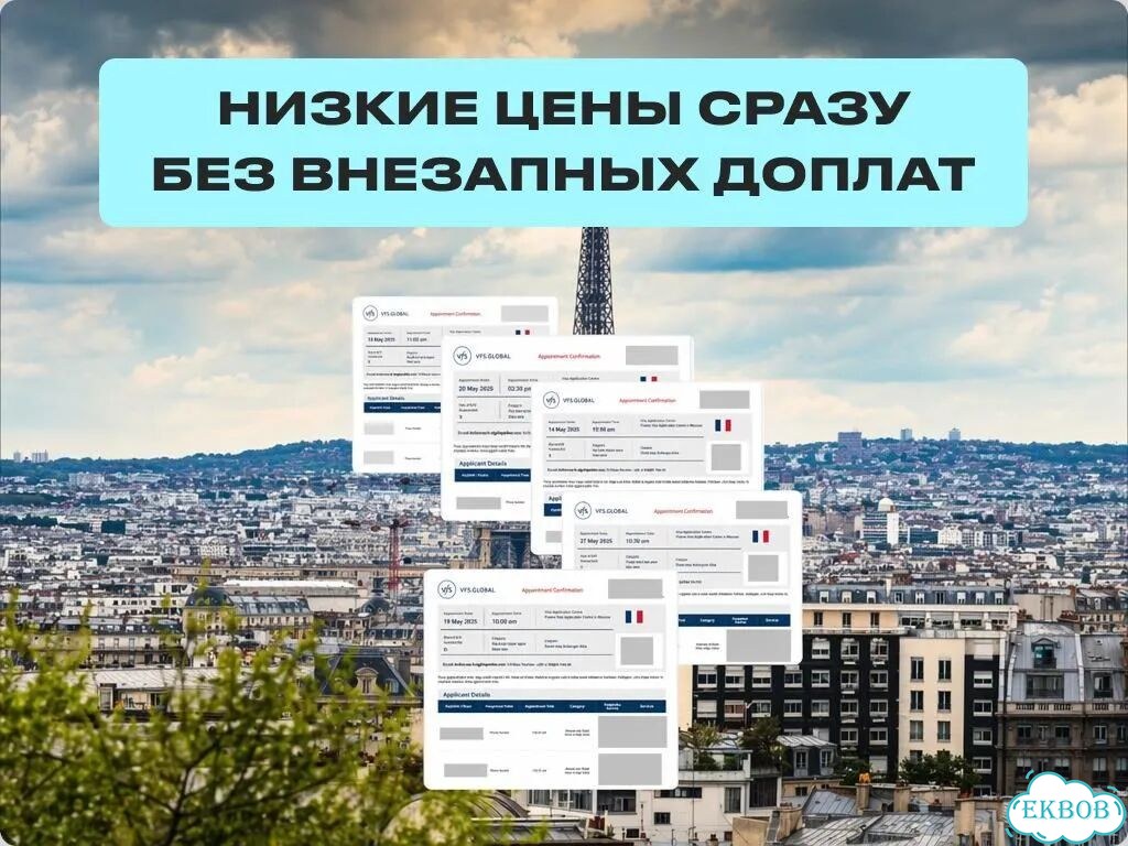 Шенгенская Виза оформление запись на результат фото 6
