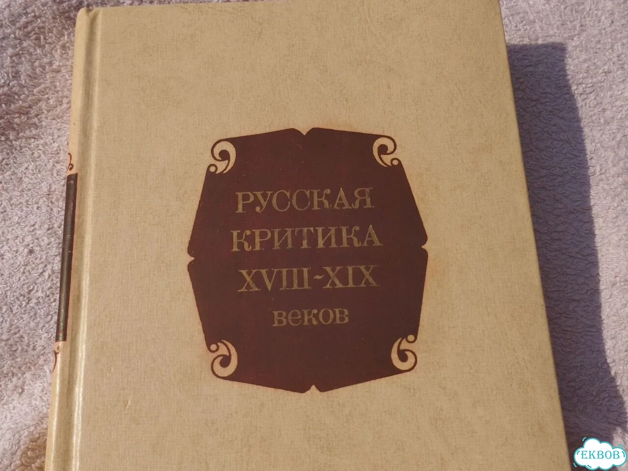 Учебник для вузов Русская критика 18-19 веков фото 2