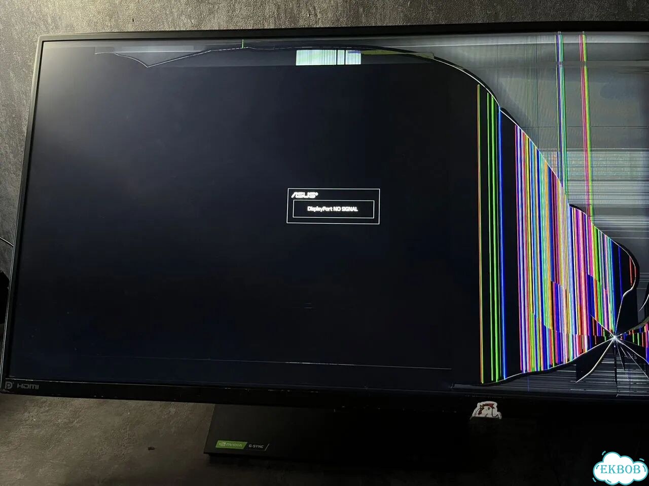 Монитор 280гц asus tuf (матрица разбита) фото 2