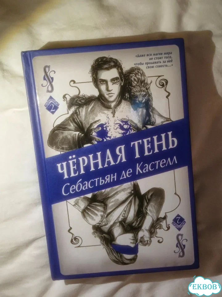 Книга Чёрная тень — Себастьян де Кастелл фото 1