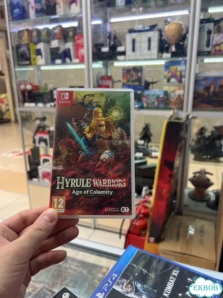 Hyrule Warriors Age of Calamity (switch) фото 1
