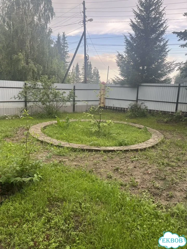 Дуб фото 1