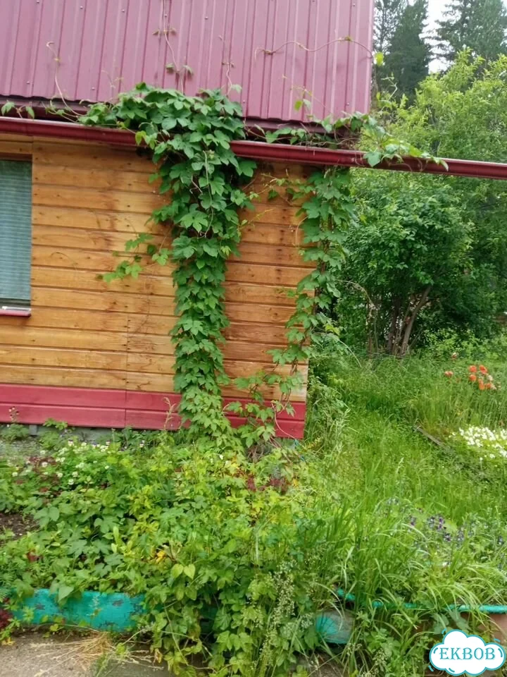 Дача 47 м² на участке 7 сот. фото 5