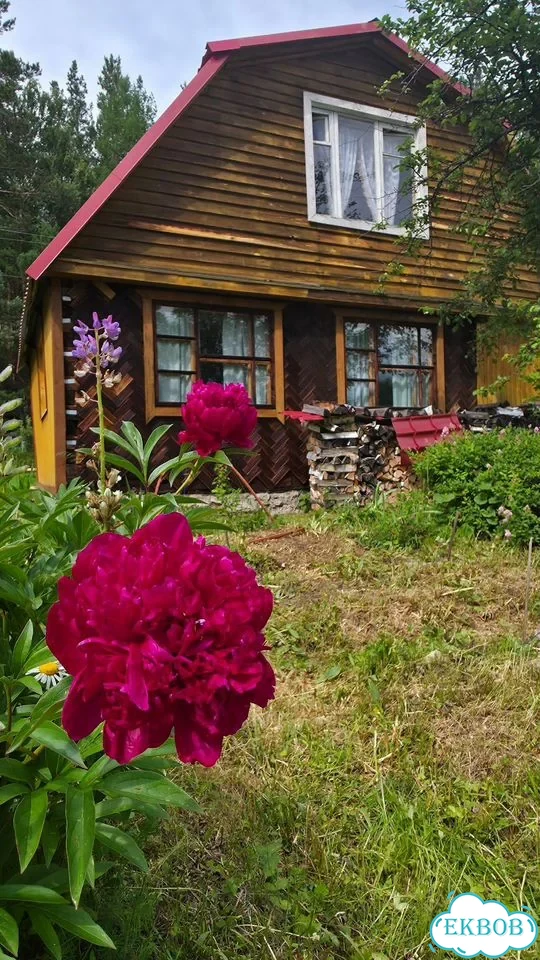 Дом 36 м² на участке 4,1 сот. фото 1