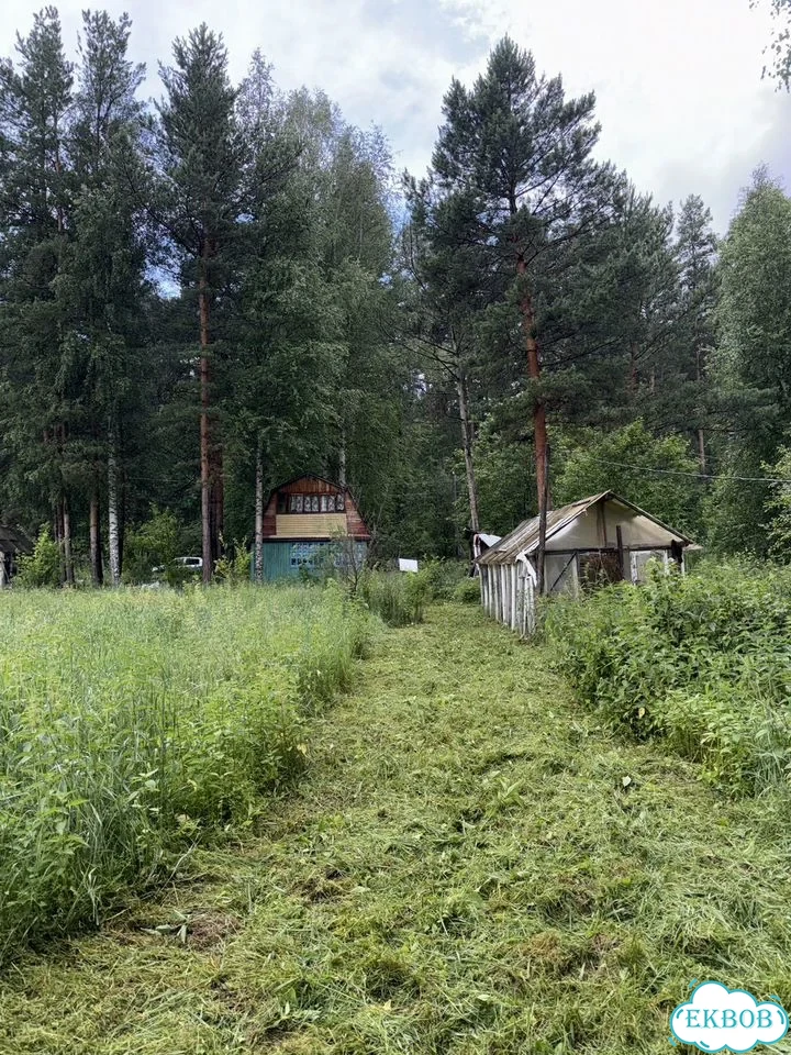 Дача 36 м² на участке 12 сот. фото 10