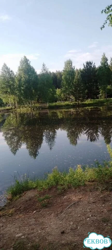 Дача 28 м² на участке 4,7 сот. фото 38