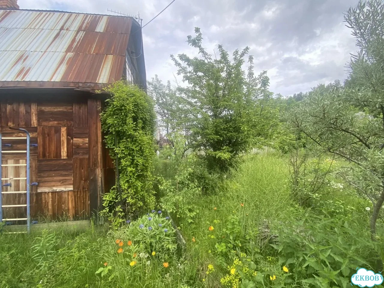 Дача 50 м² на участке 4,6 сот. фото 14