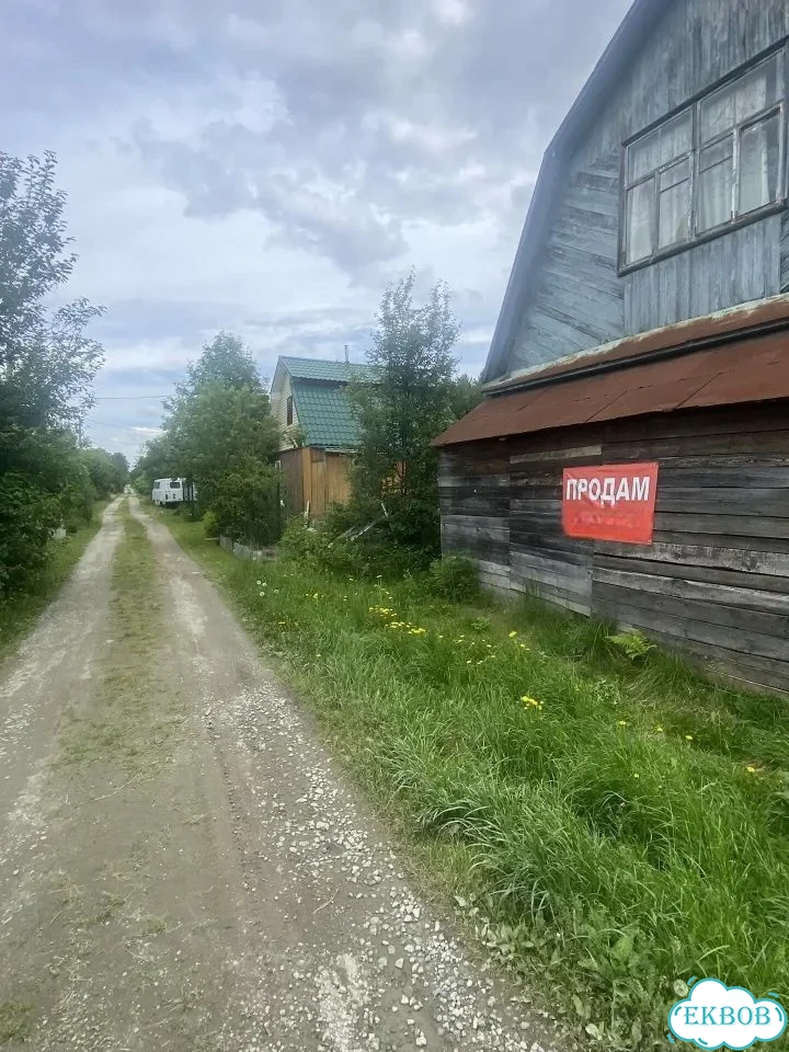 Дача 50 м² на участке 4,6 сот. фото 33