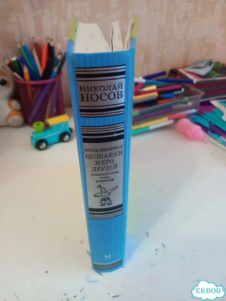 Книга фото 2