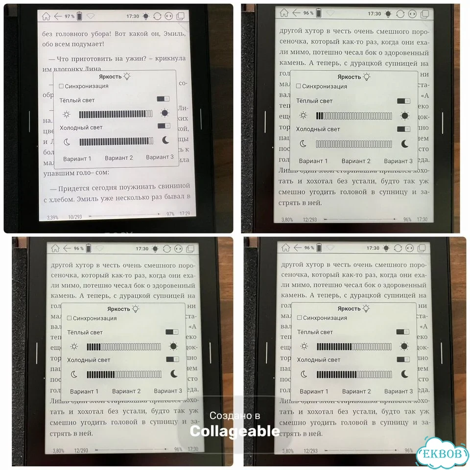 Книга электронная Onyx Boox Monte Cristo 5 фото 5