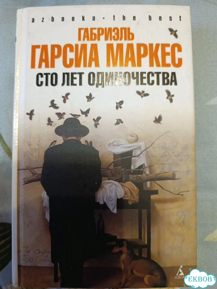 Книги фото 2