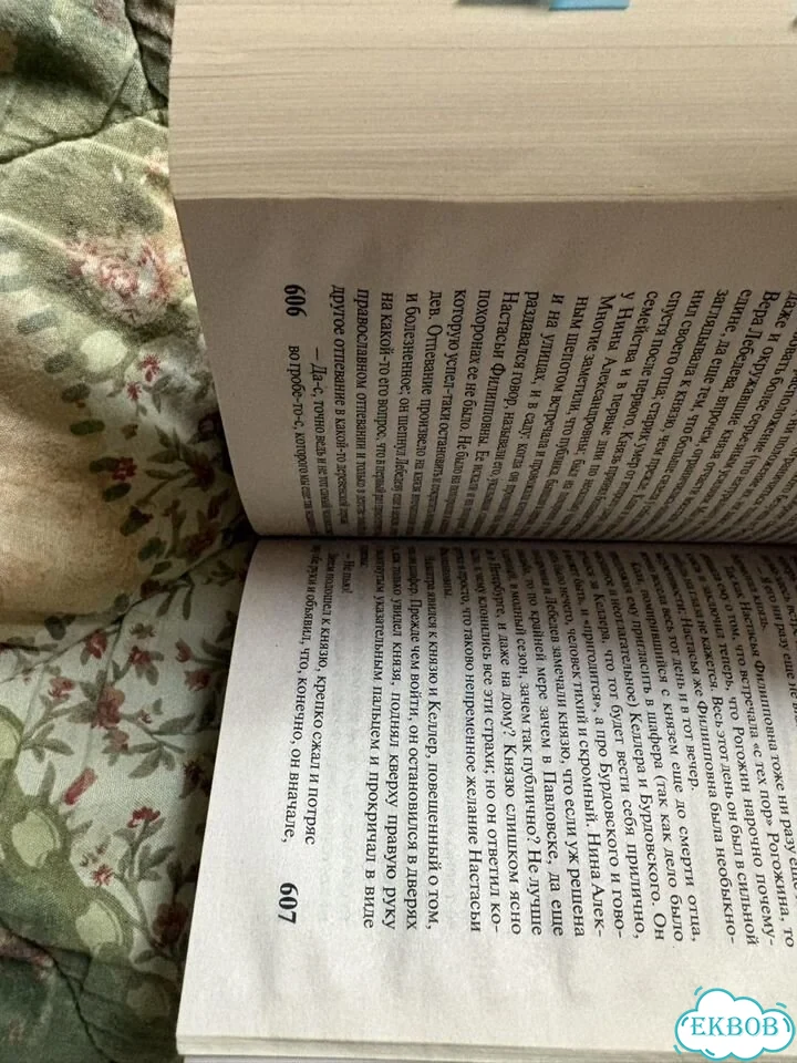 Книга «Идиот» Достоевский фото 3
