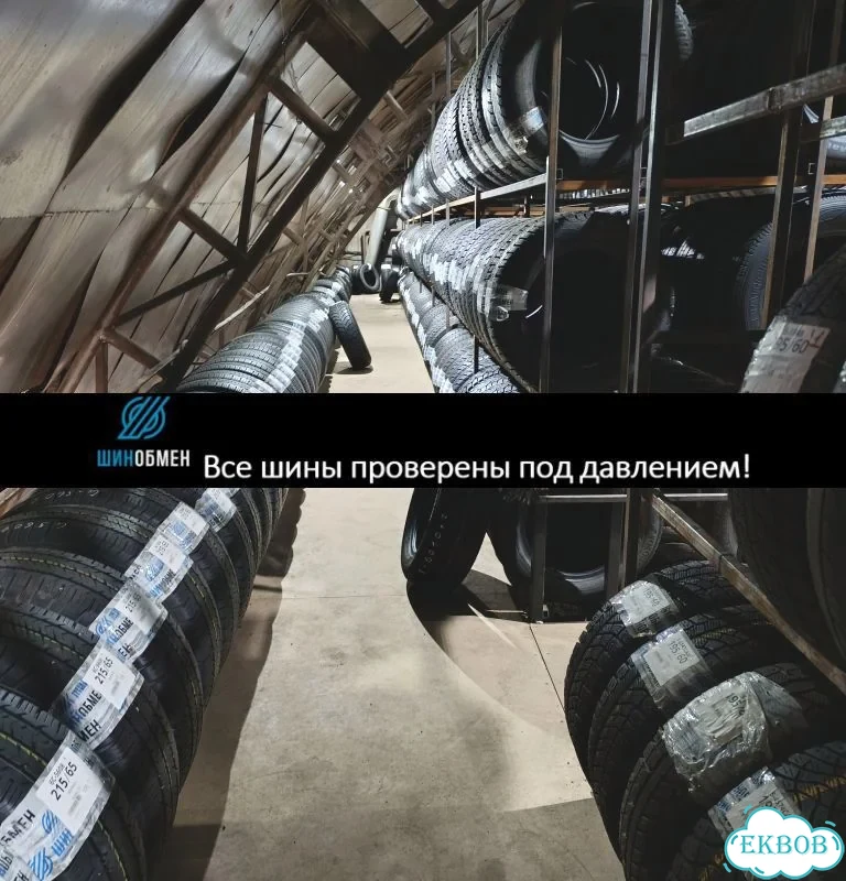 Nankang SW-8 Ice Activa 225/65 R17 106R фото 1