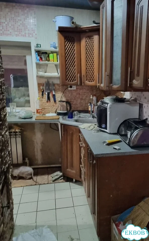 Дом 40 м² на участке 4 сот. фото 4