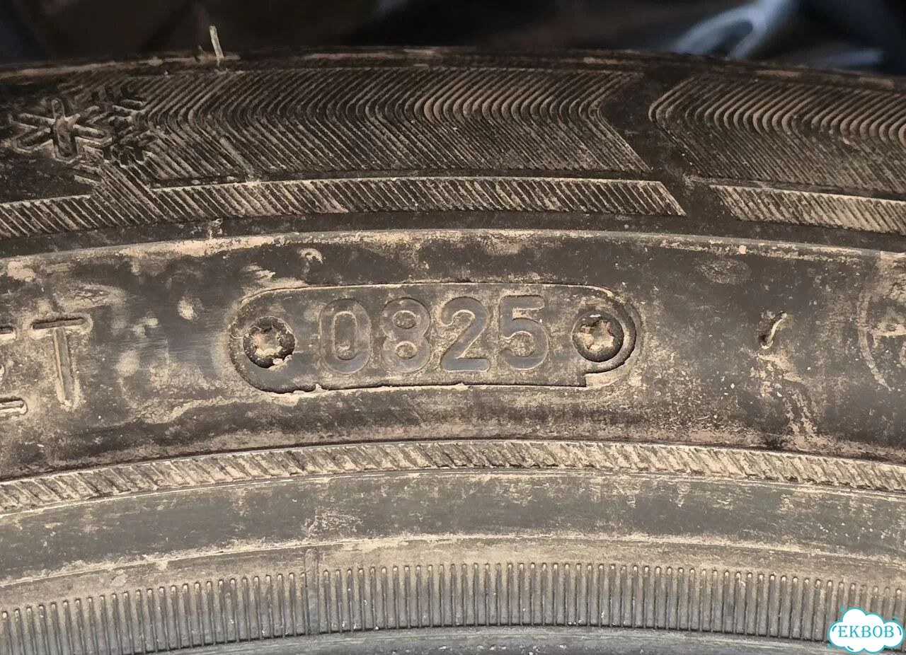 Triangle Snowlink PL02 215/50 R17 95R фото 3