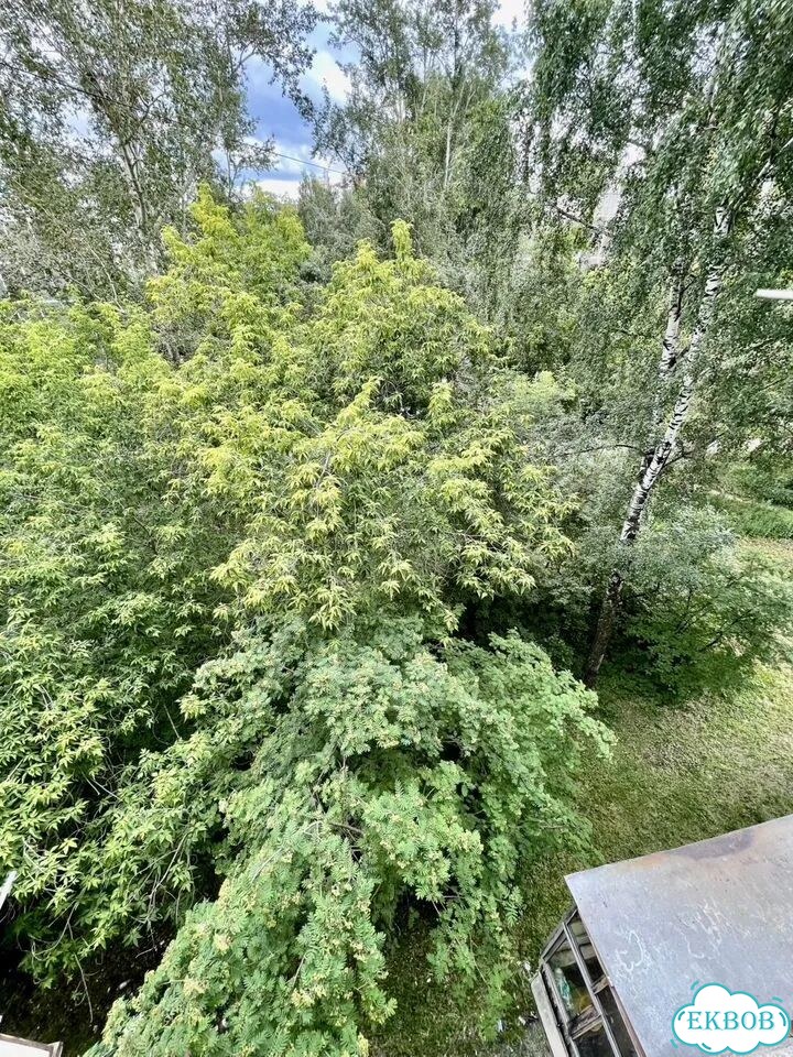 2-к. квартира, 42 м², 5/5 эт. фото 18